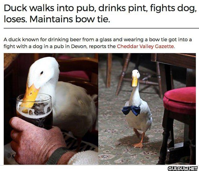 7.    Duck walks into pub,...