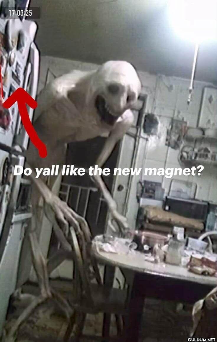 25 Do yall the new magnet?