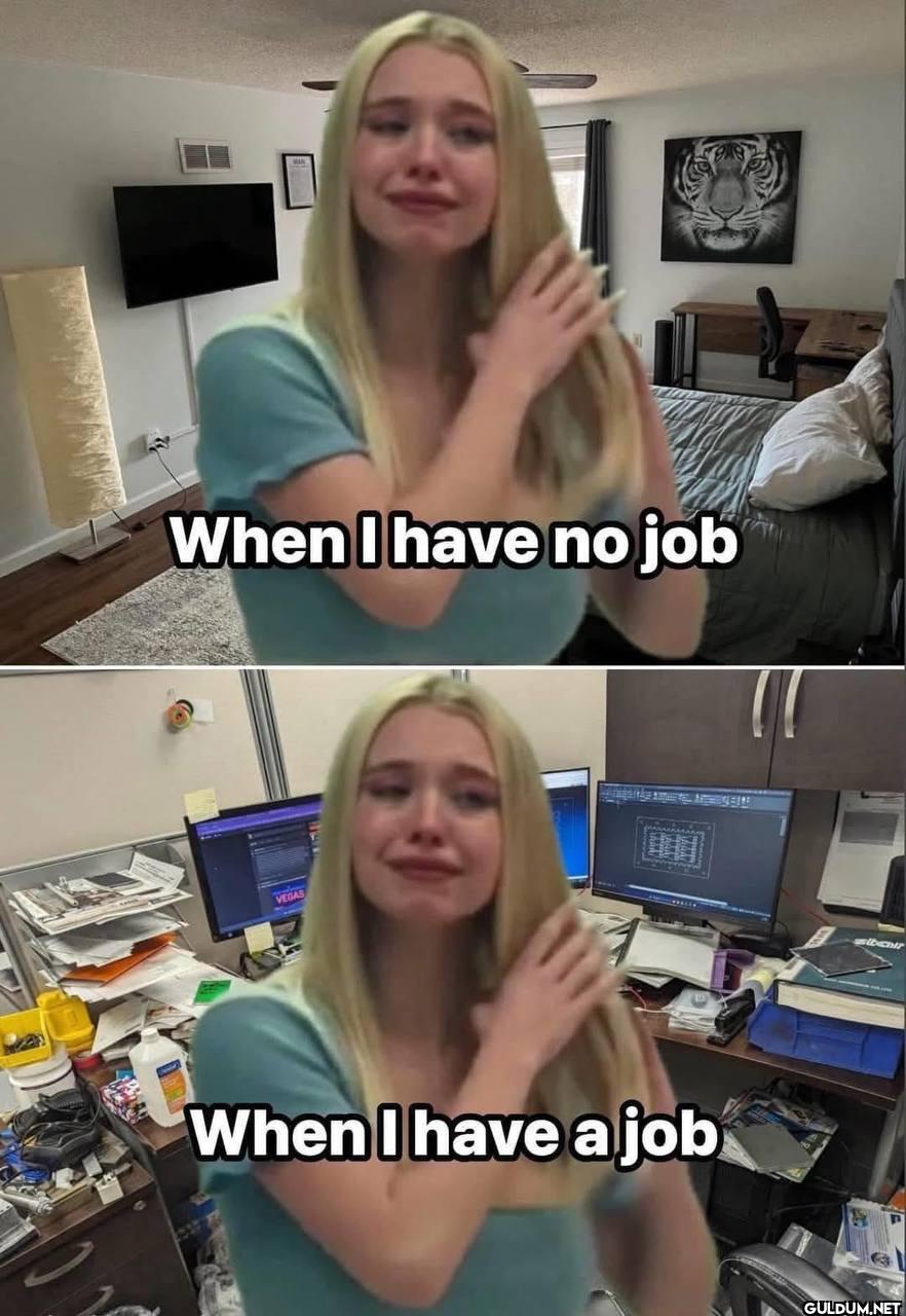 When I have no job VEGAS...