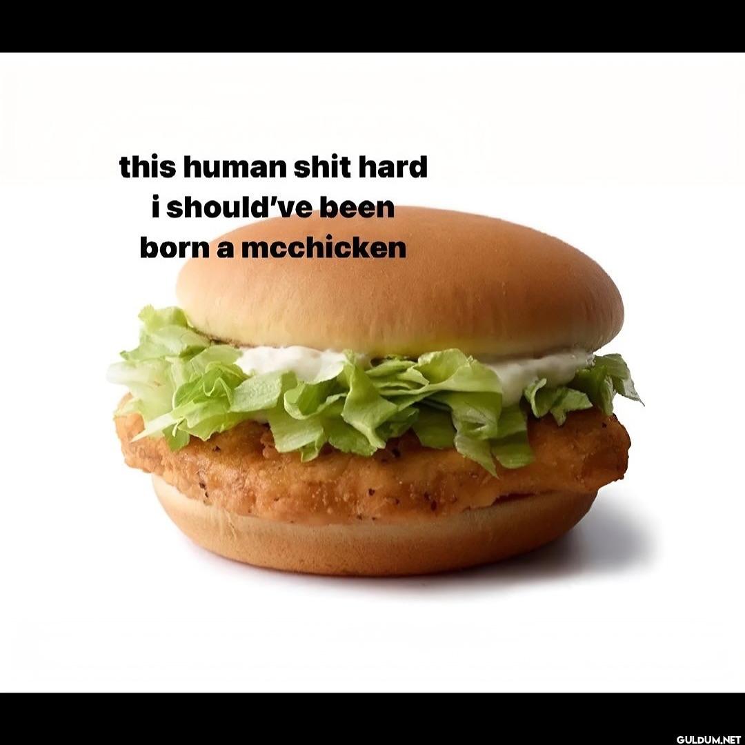 this human shit hard i...