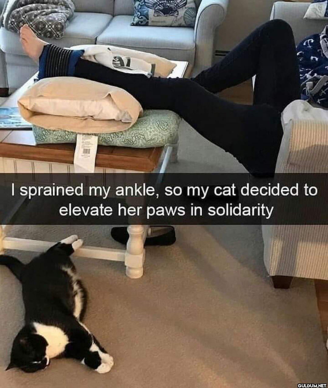 I sprained my ankle, so my...