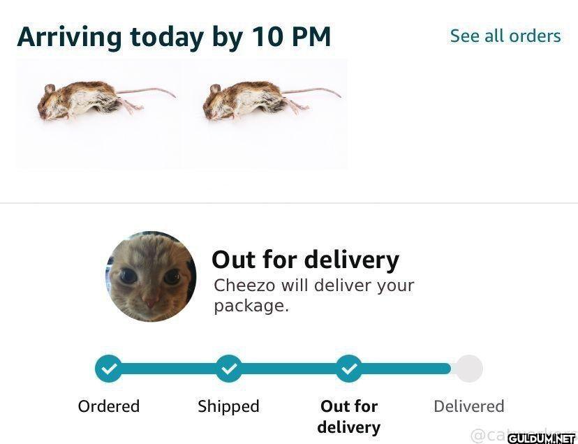 Arriving today by 10 PM...
