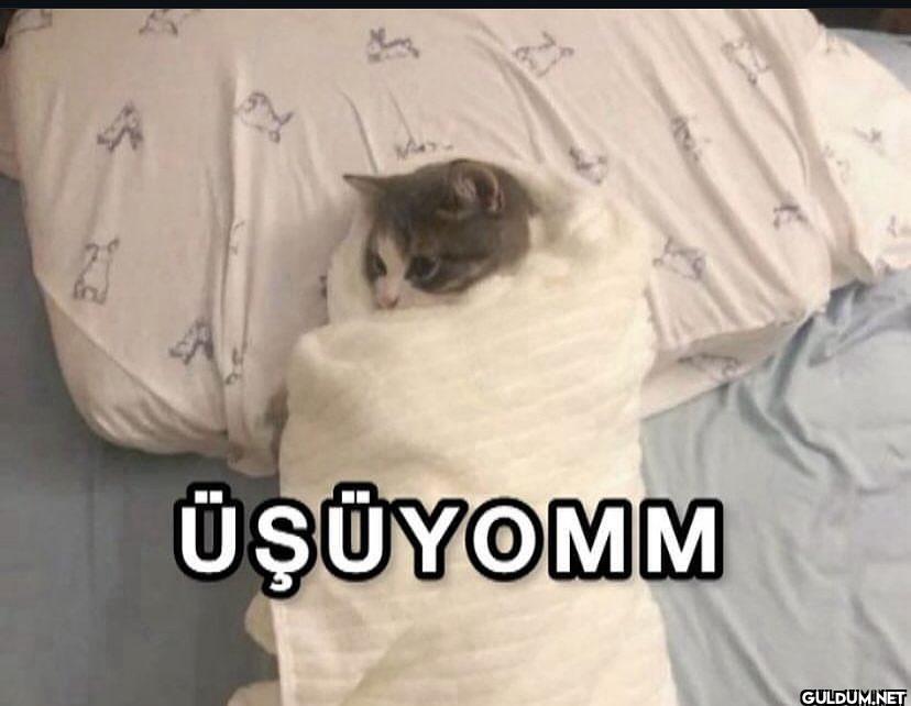 ÜŞÜYOMM