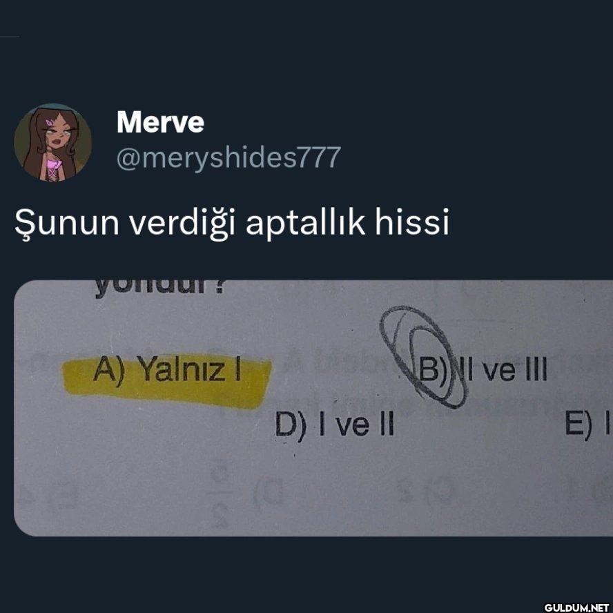 Şunun verdiği aptallık...