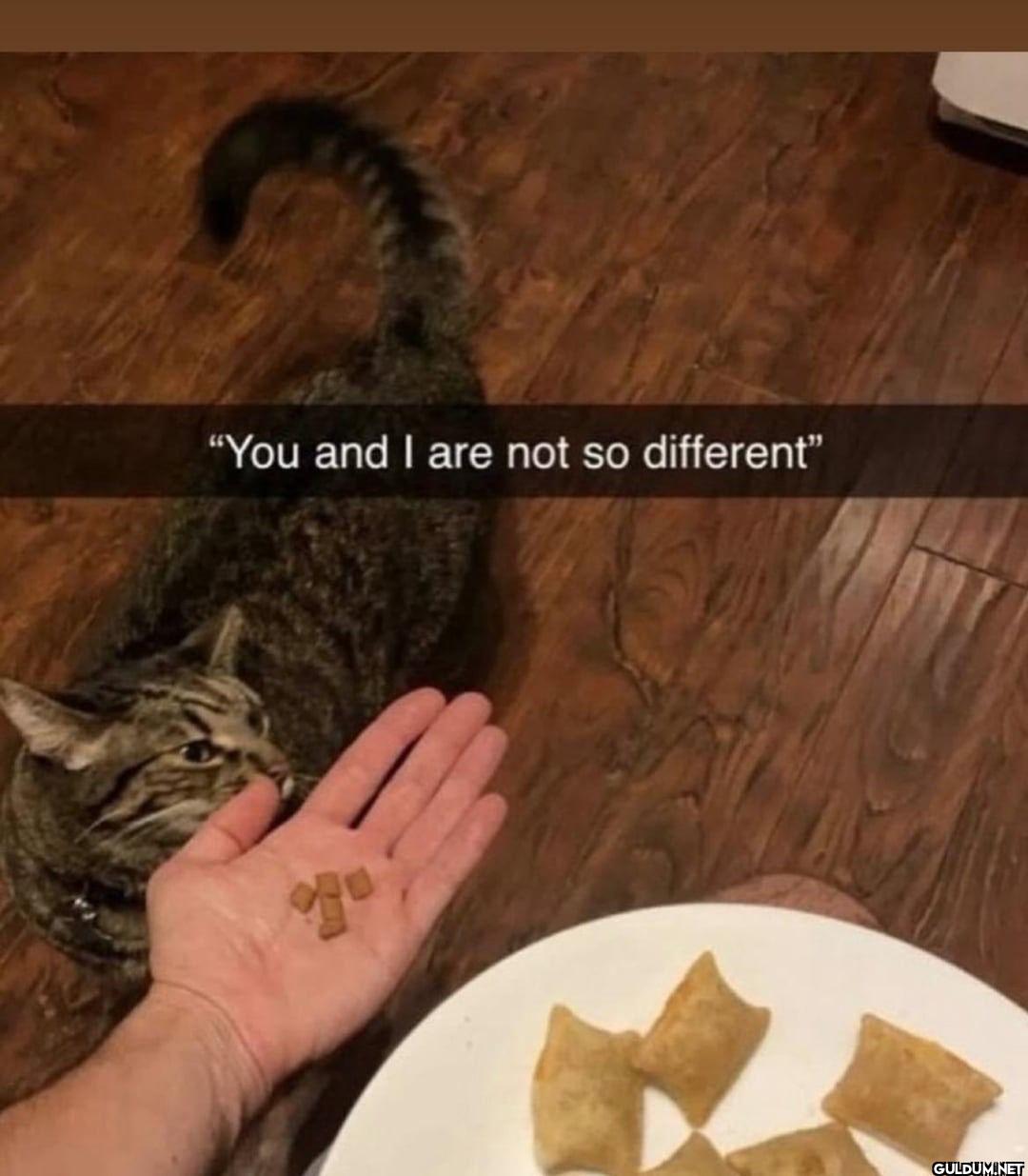 "You and I are not so different"