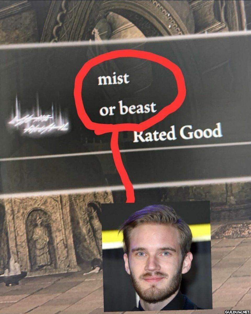 mist or beast Rated Good