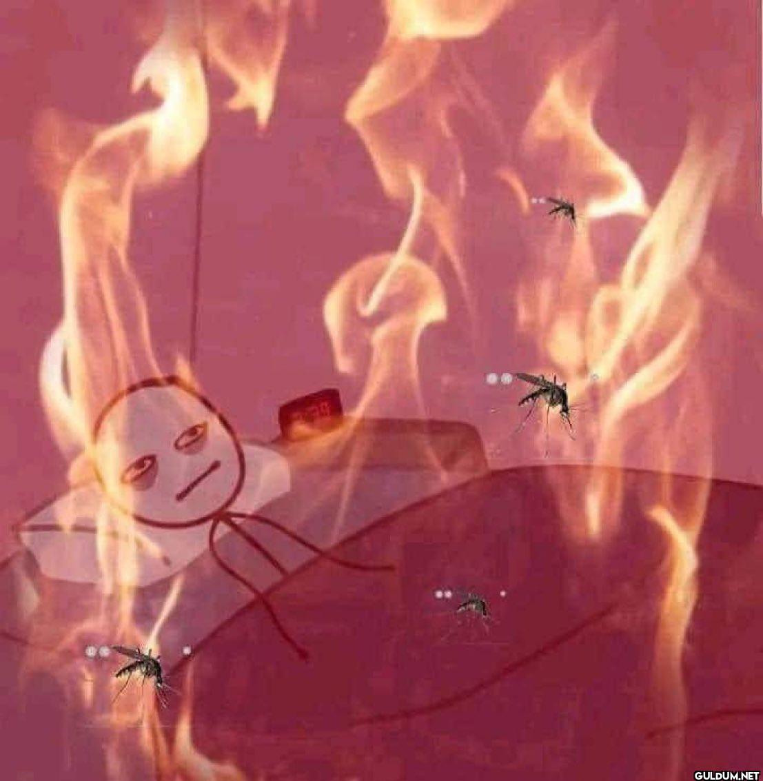 "yes bro summer is better...
