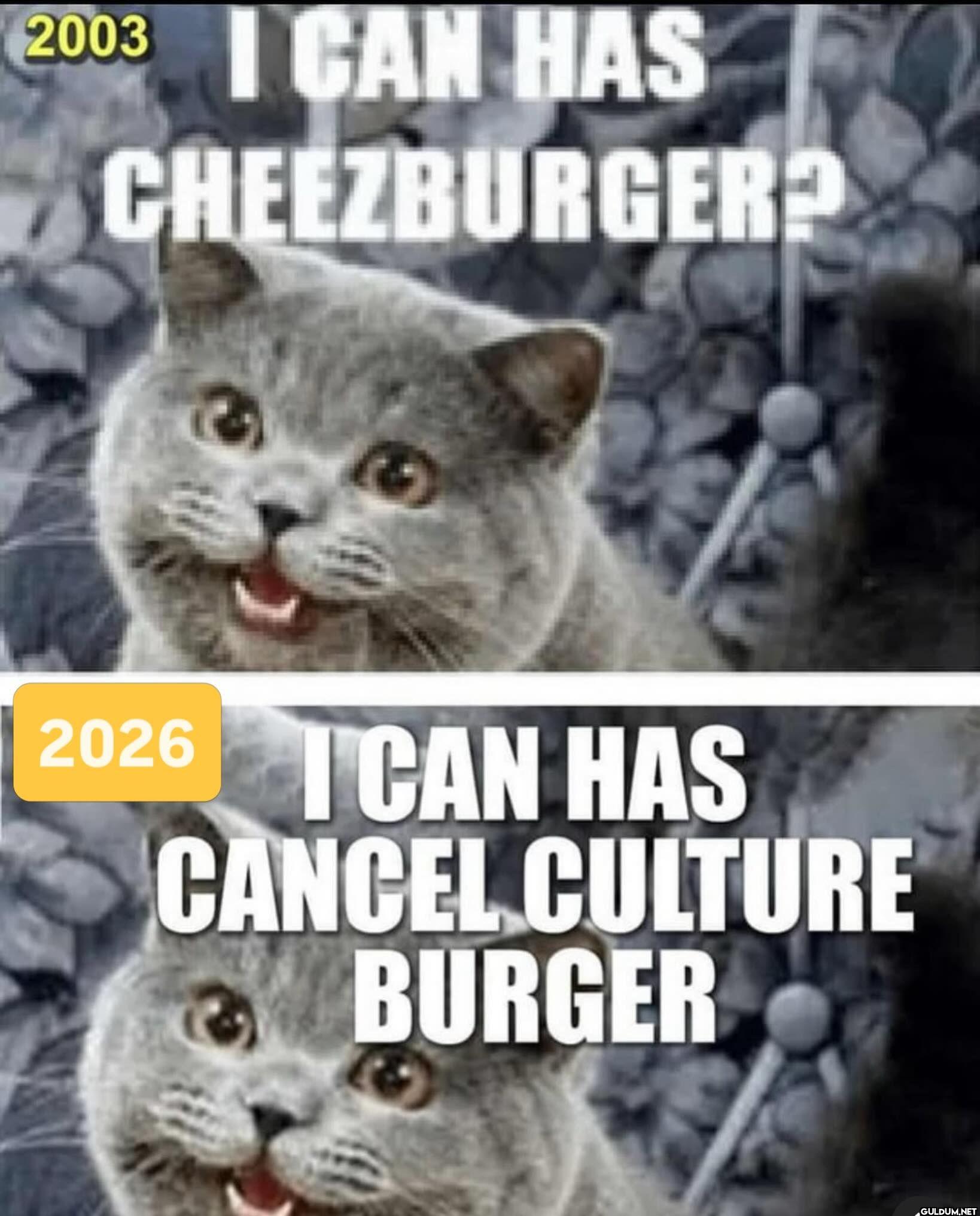 2003 I CAN HAS...