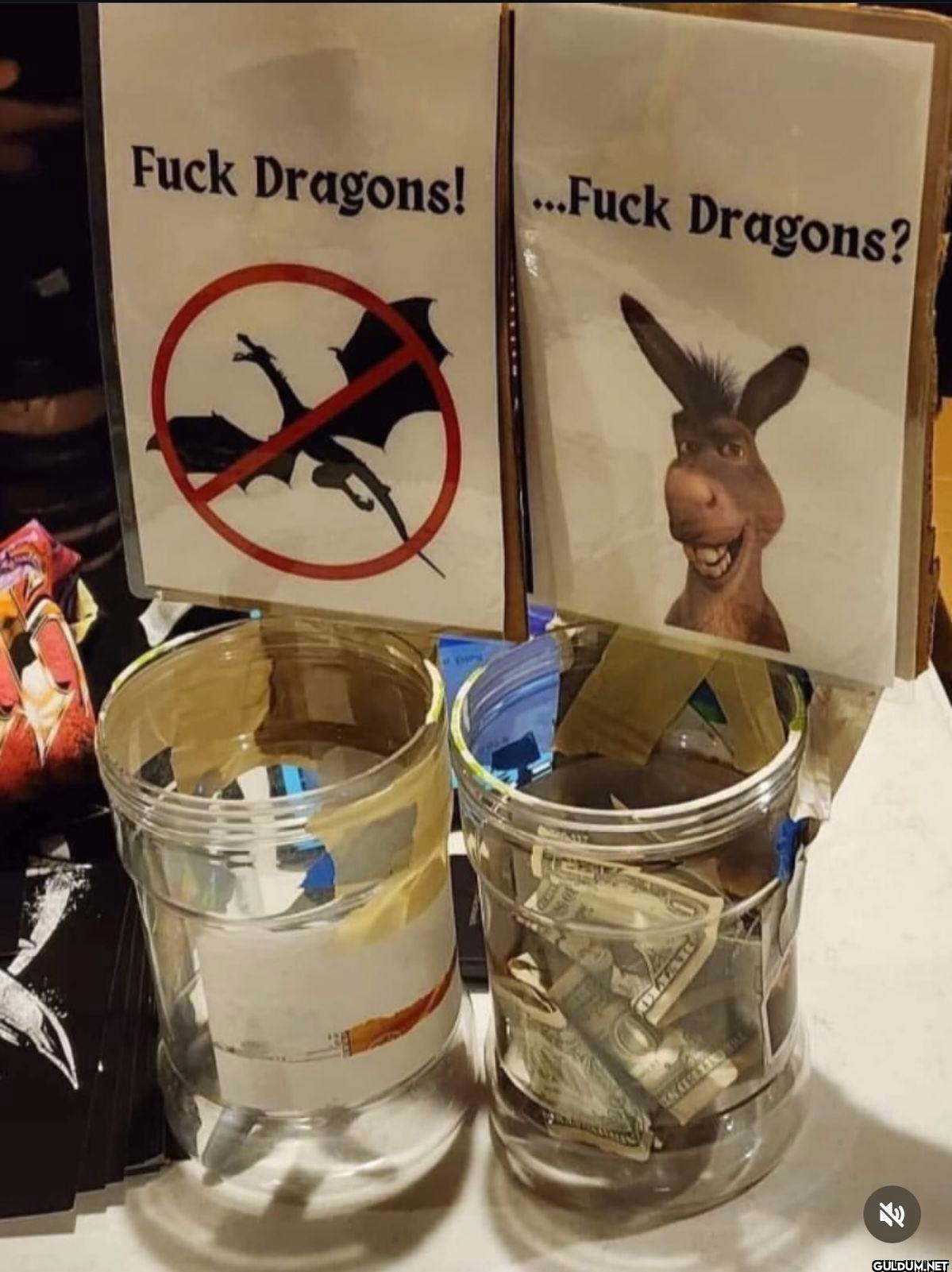 Fuck Dragons! ...Fuck Dragons?