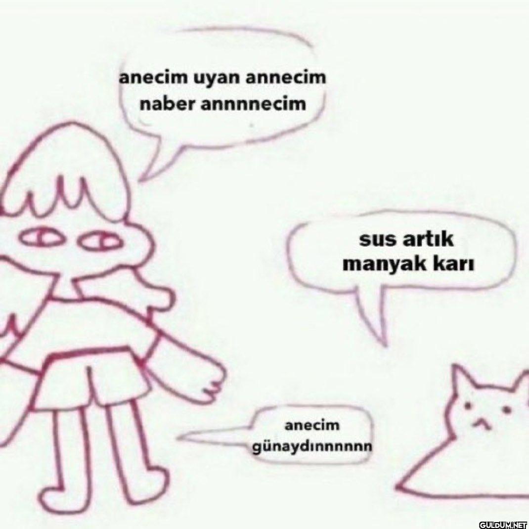 anecim uyan annecim naber...
