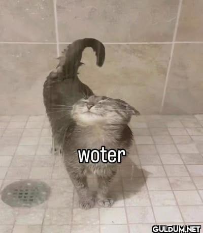 water