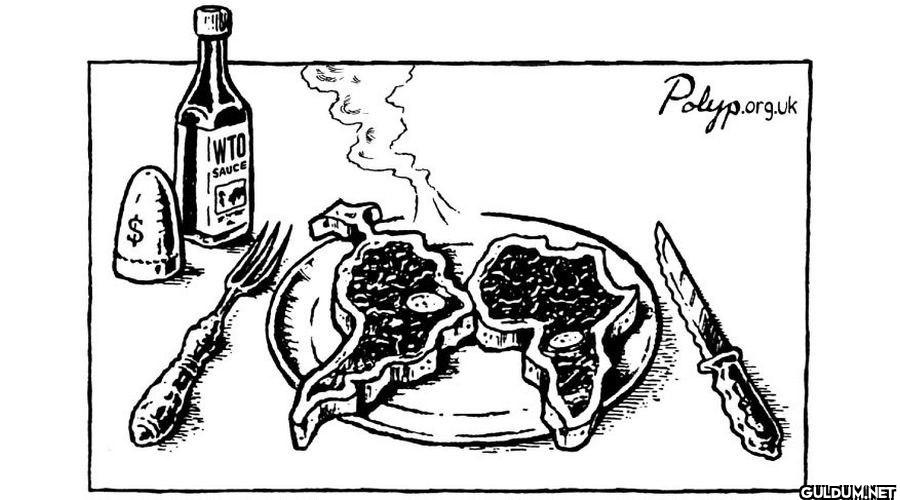 12.    IWTO SAUCE Polyp.org.uk