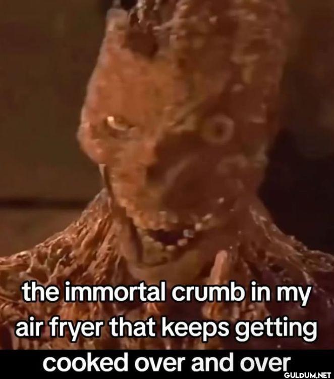 the immortal crumb in my...