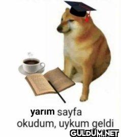 yarım sayfa okudum, uykum geldi