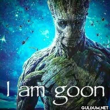 I am goon