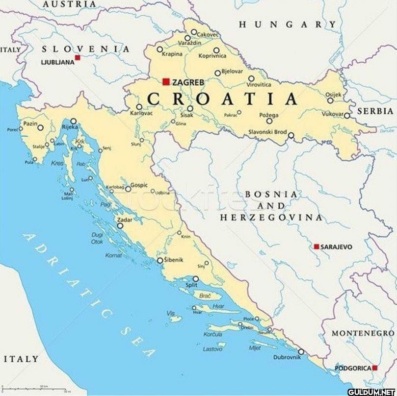 3. Bosnians: I wanna swim ...