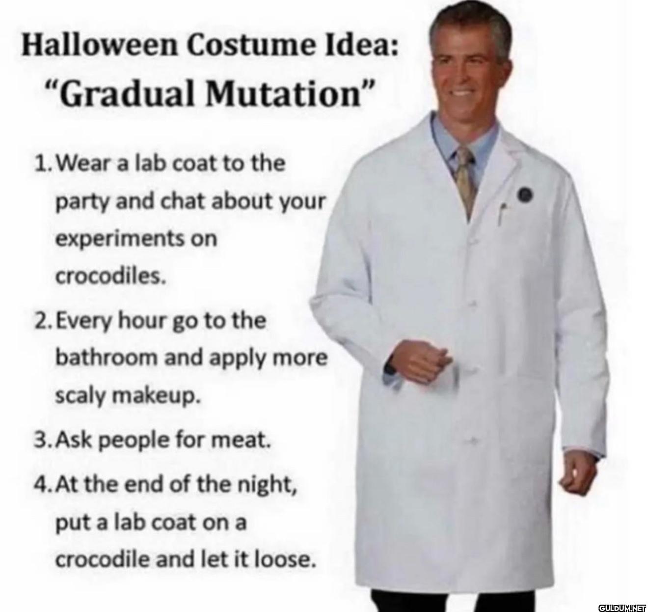 Halloween Costume Idea:...