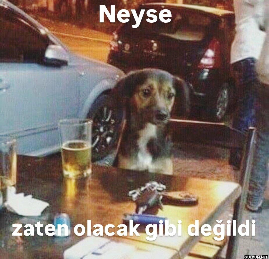 Neyse zaten olacak gibi değildi