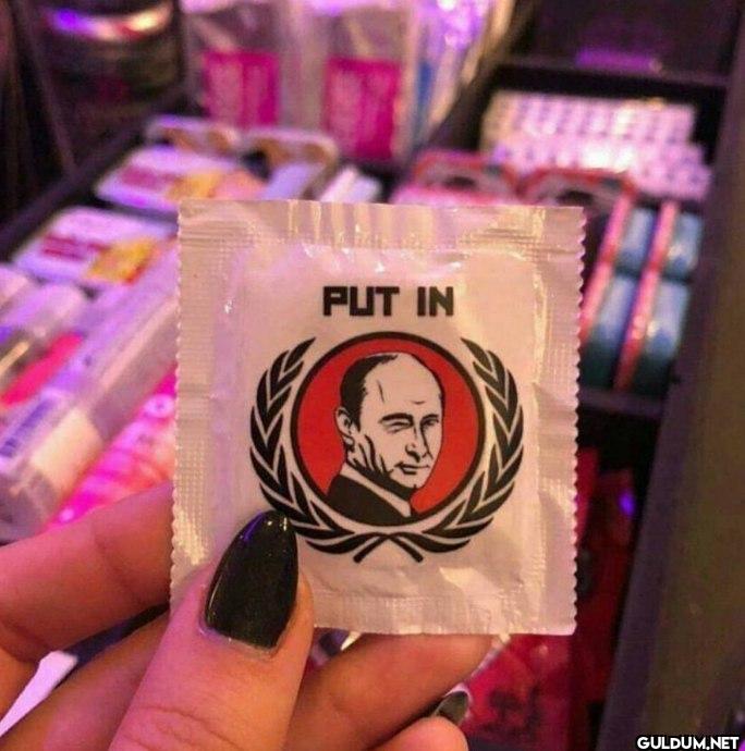 PUT IN