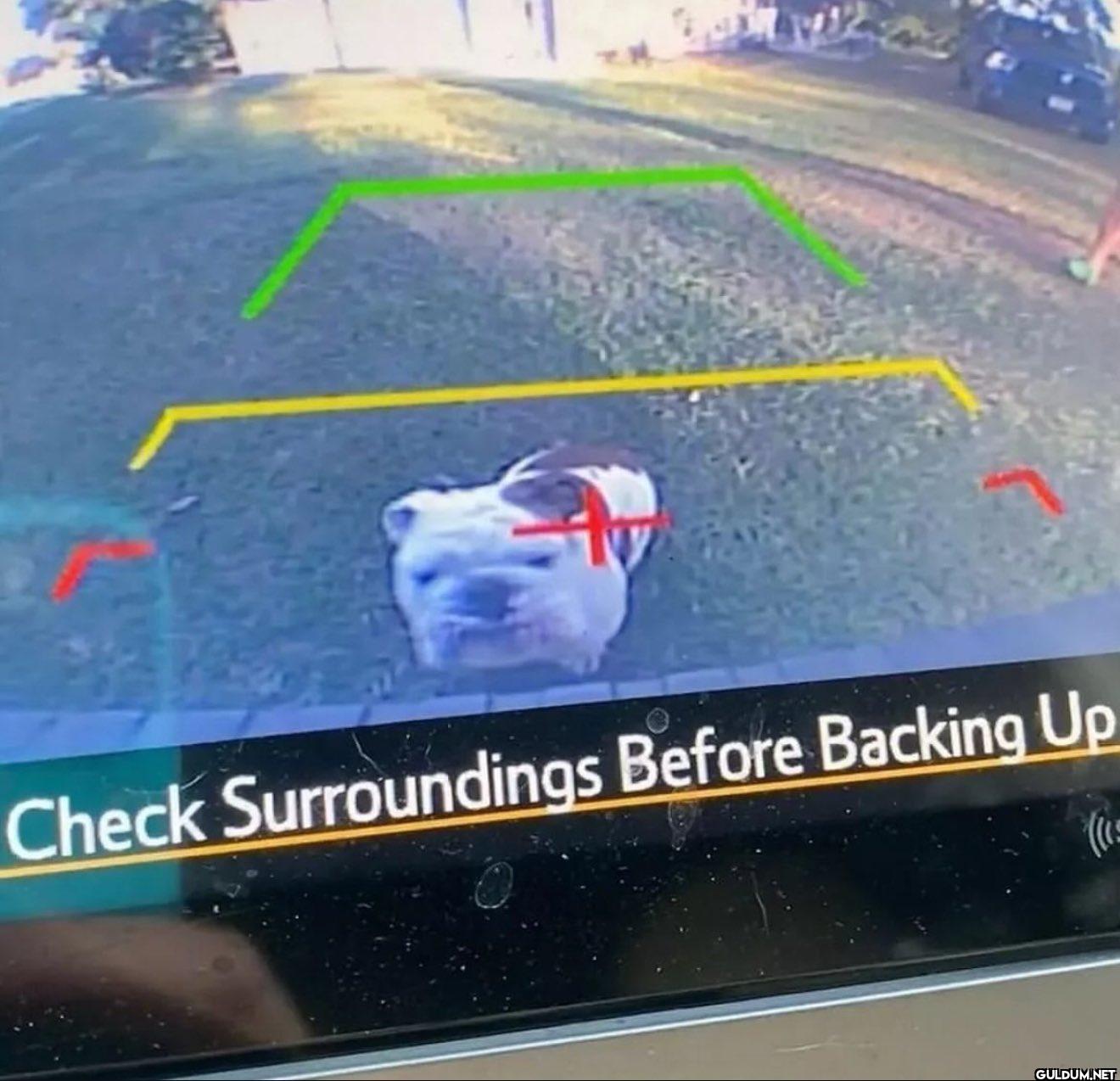 Check Surroundings Before...