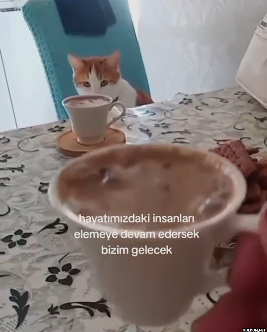 hayatımızdaki insanları...