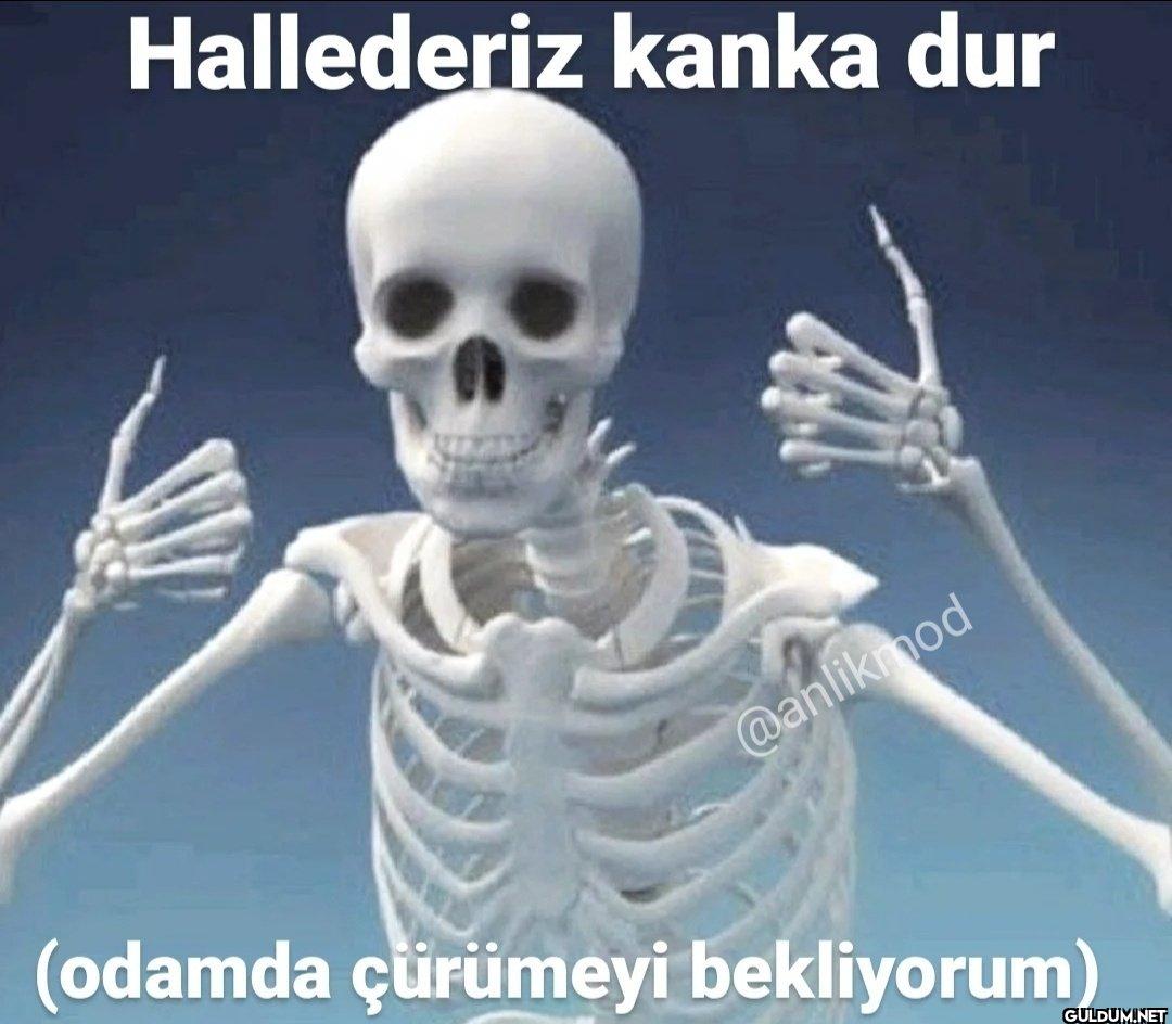 (odamda çürümeyi bekliyorum)