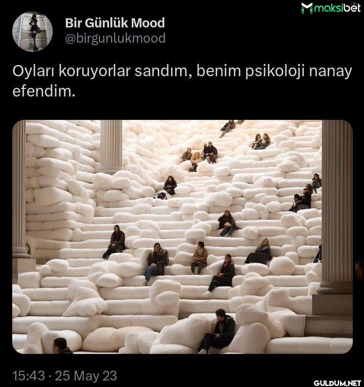 Oyları koruyorlar sandım,...