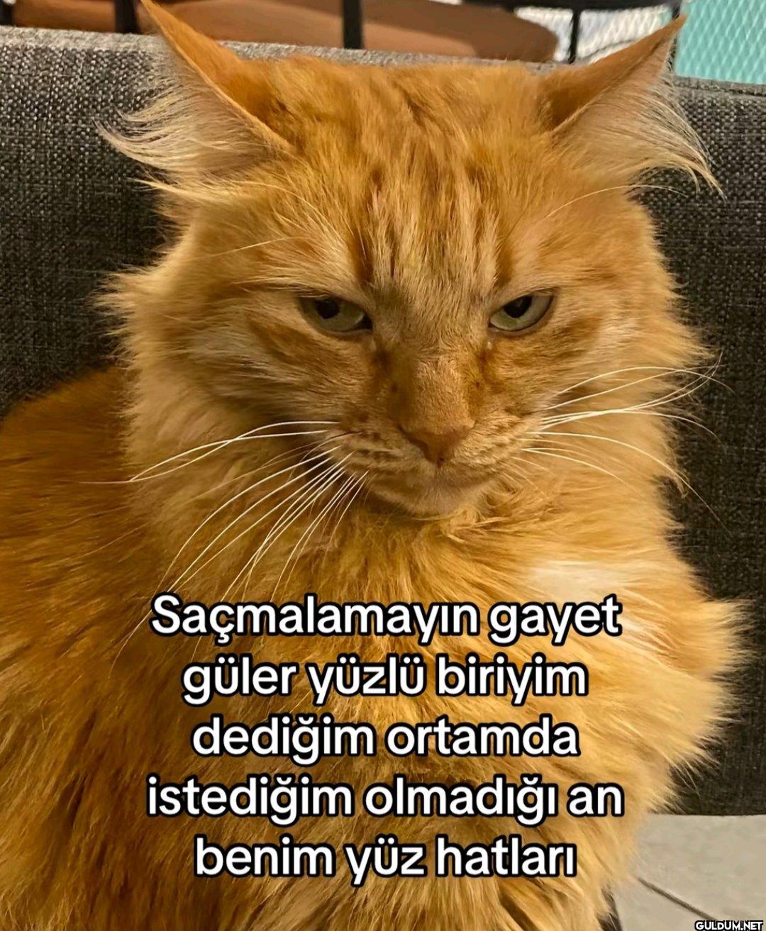 Saçmalamayın gayet güler...