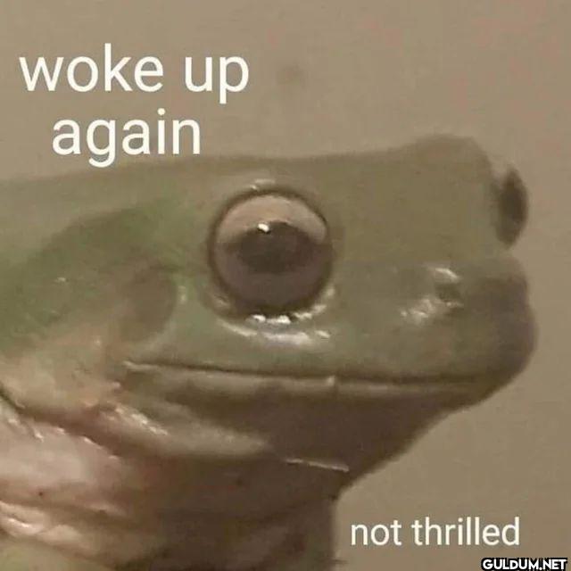 woke up again not thrilled