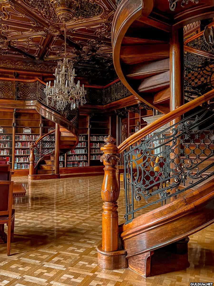 16. Szabo Ervin Library, Hungary 🇭🇺