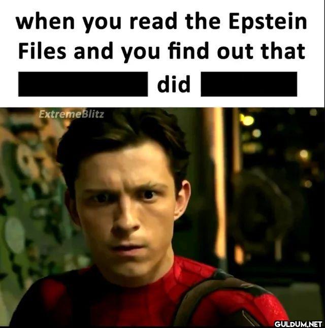 when you read the Epstein...