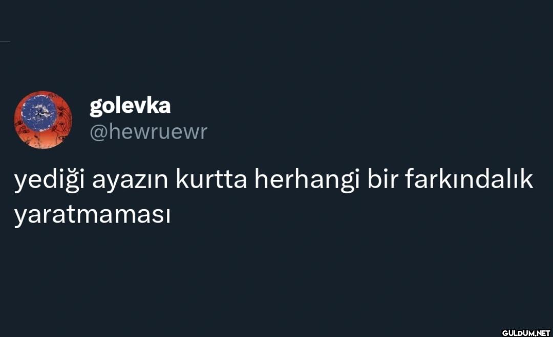 yediği ayazın kurtta...