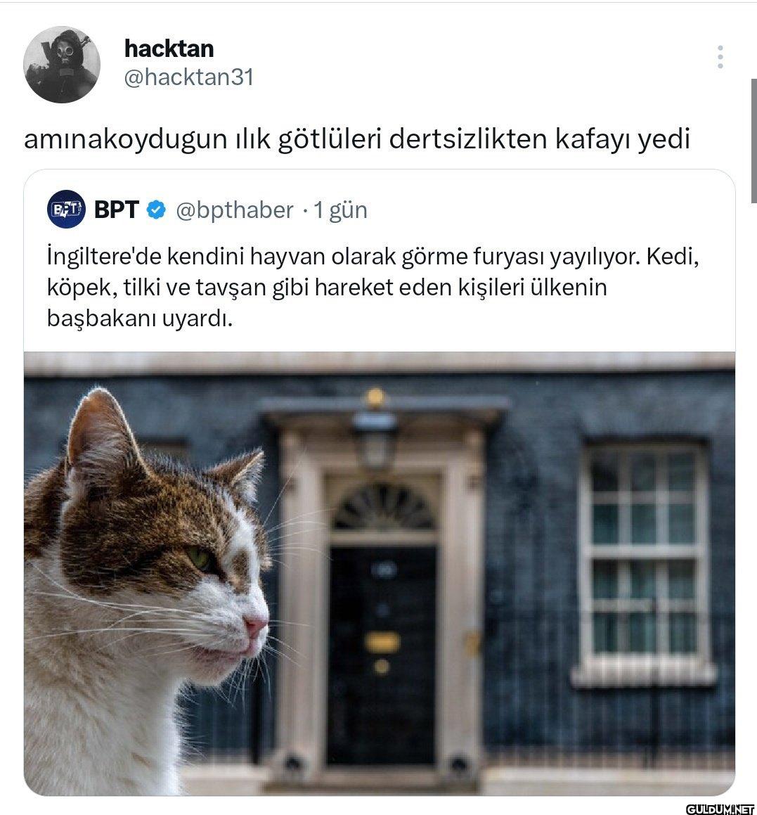 aminakoydugun ılık...