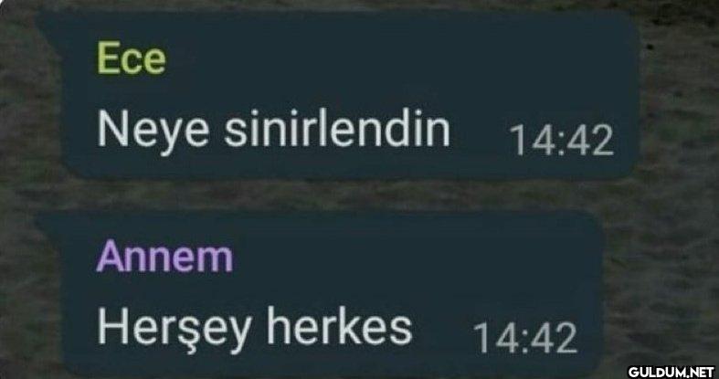 Ece Neye sinirlendin 14:42...