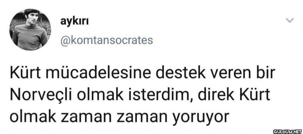 Kürt mücadelesine destek...