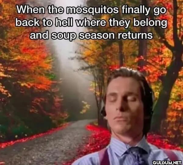 When the mosquitos finally...