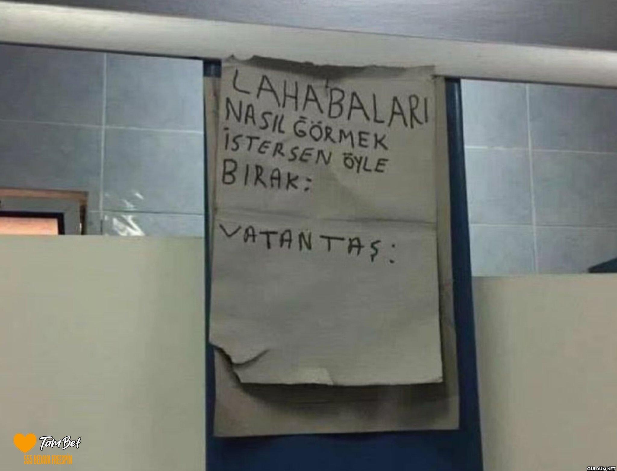 Türkçe, insan olsaydı;...