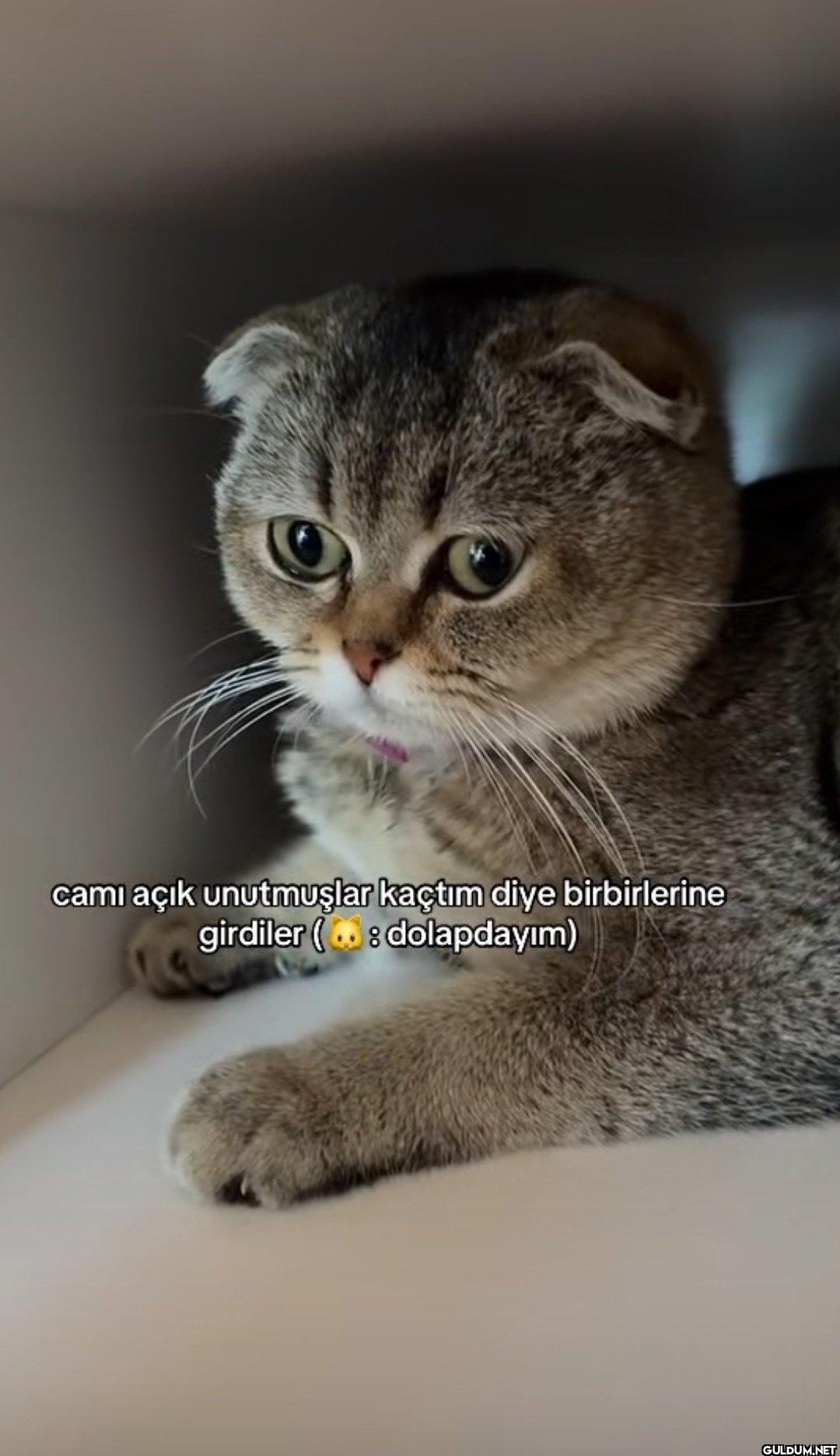 cami açık unutmuşlar...