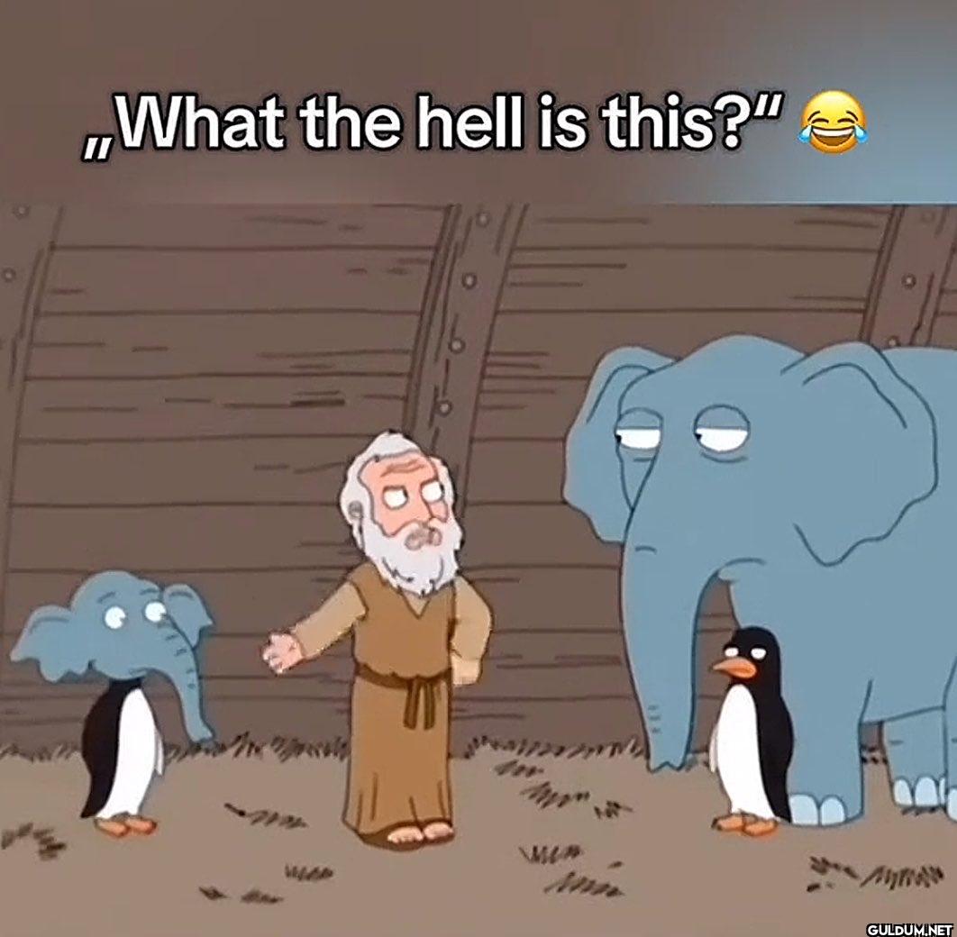 ZamHaberAjans kullanıcı...