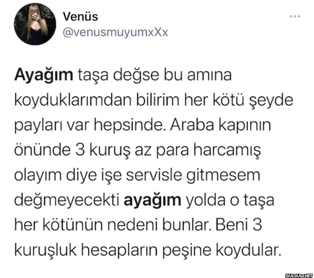 Ayağım taşa değse bu amına...