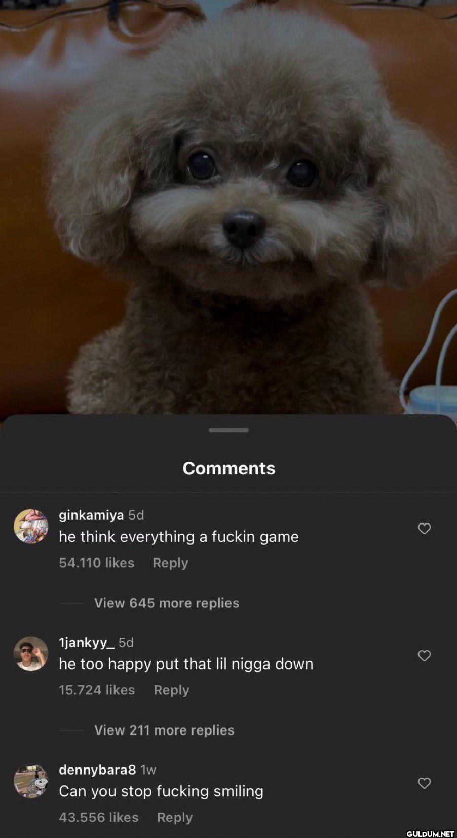 Comments ginkamiya 5d he...