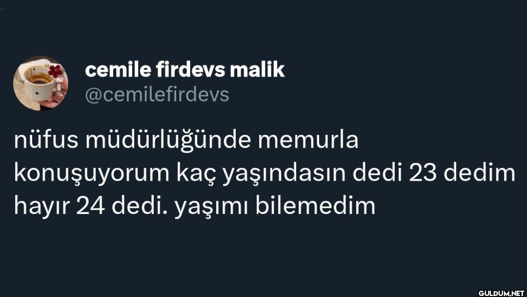 nüfus müdürlüğünde memurla...