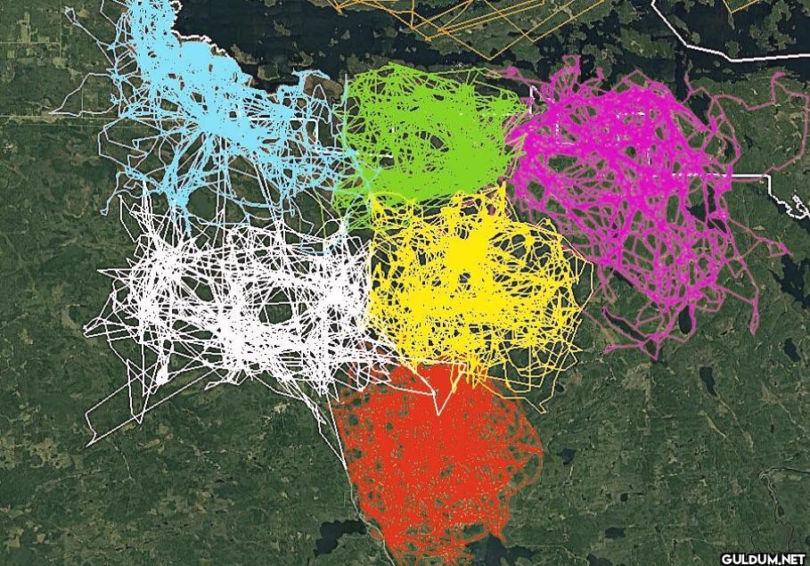“An image of GPS tracking...
