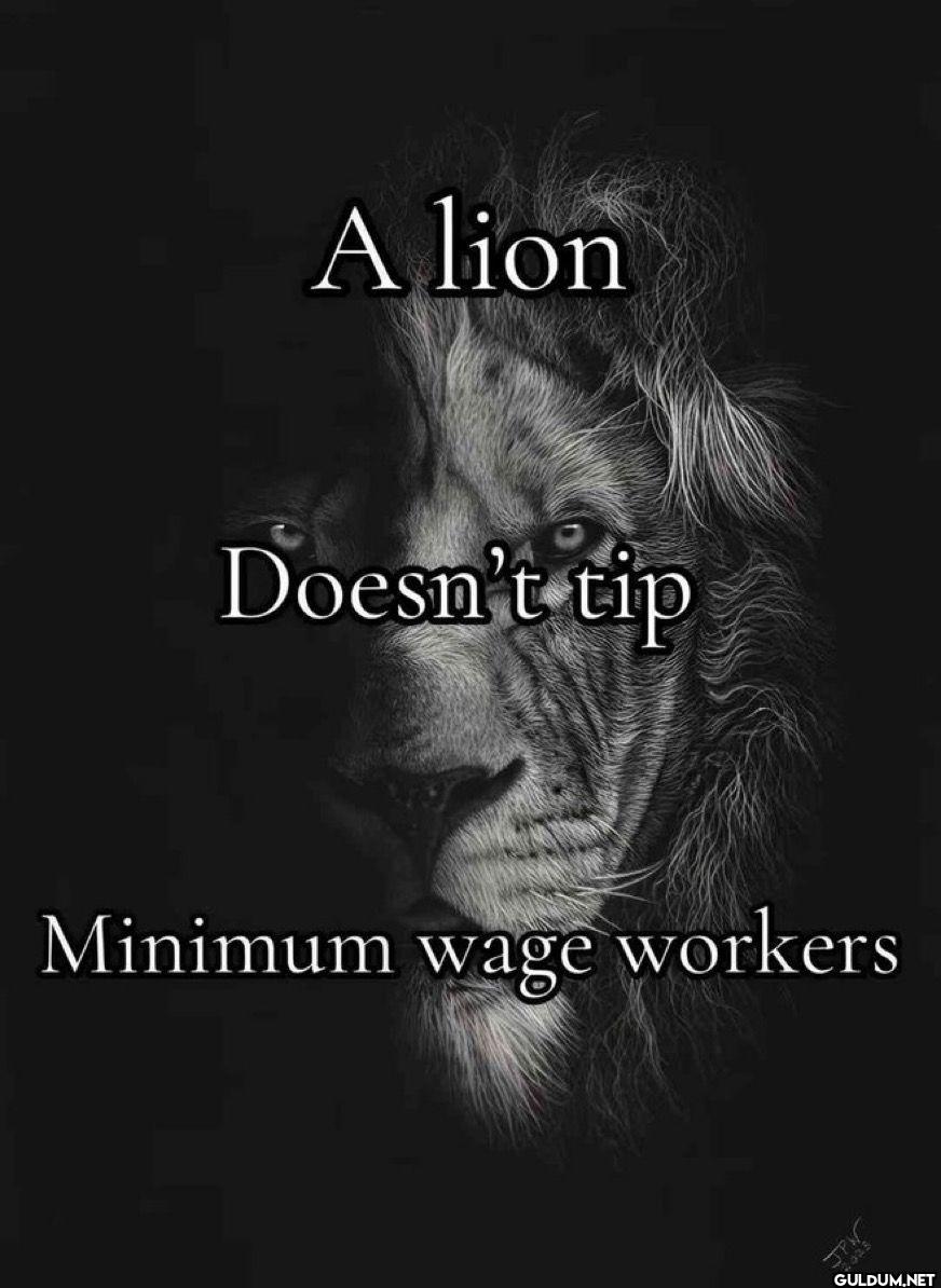 A lion Doesn't tip Minimum...