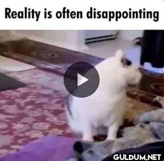 Reality is often disappointing
