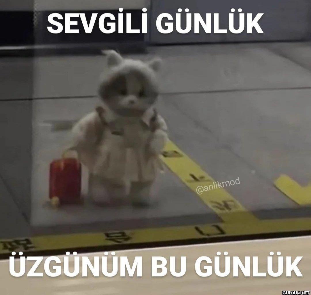 ÜZGÜNÜM BU GÜNLÜK