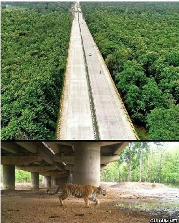 9. India has constructed a...