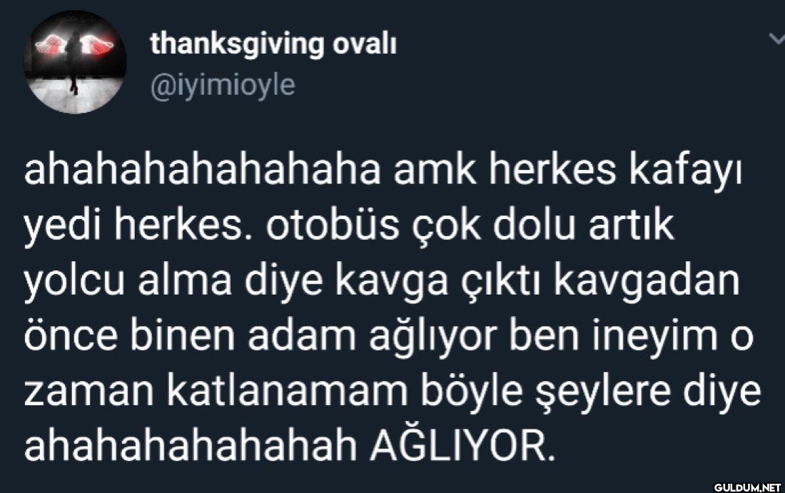 ahahahahahahaha amk herkes...