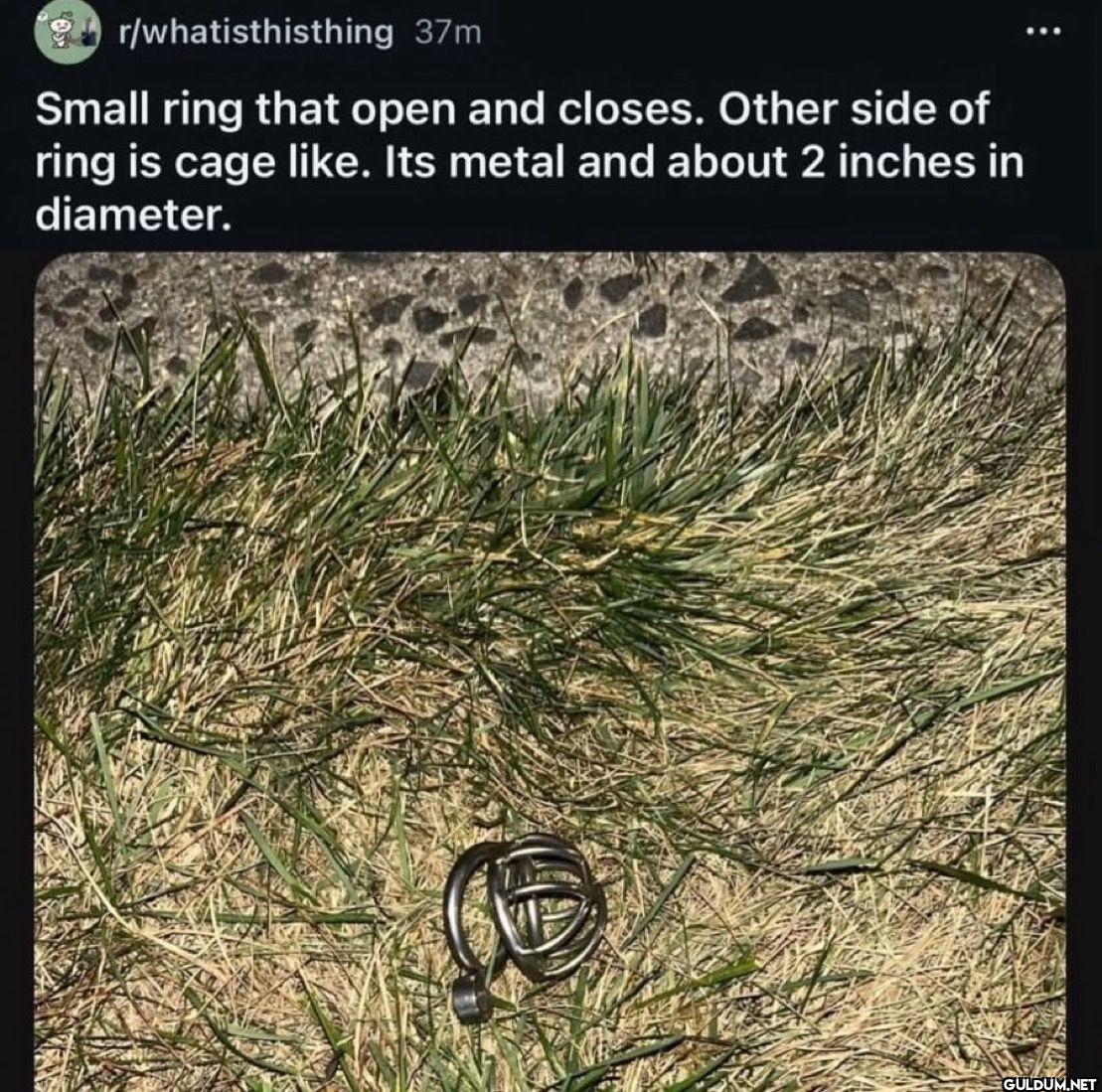 r/whatisthisthing 37m...