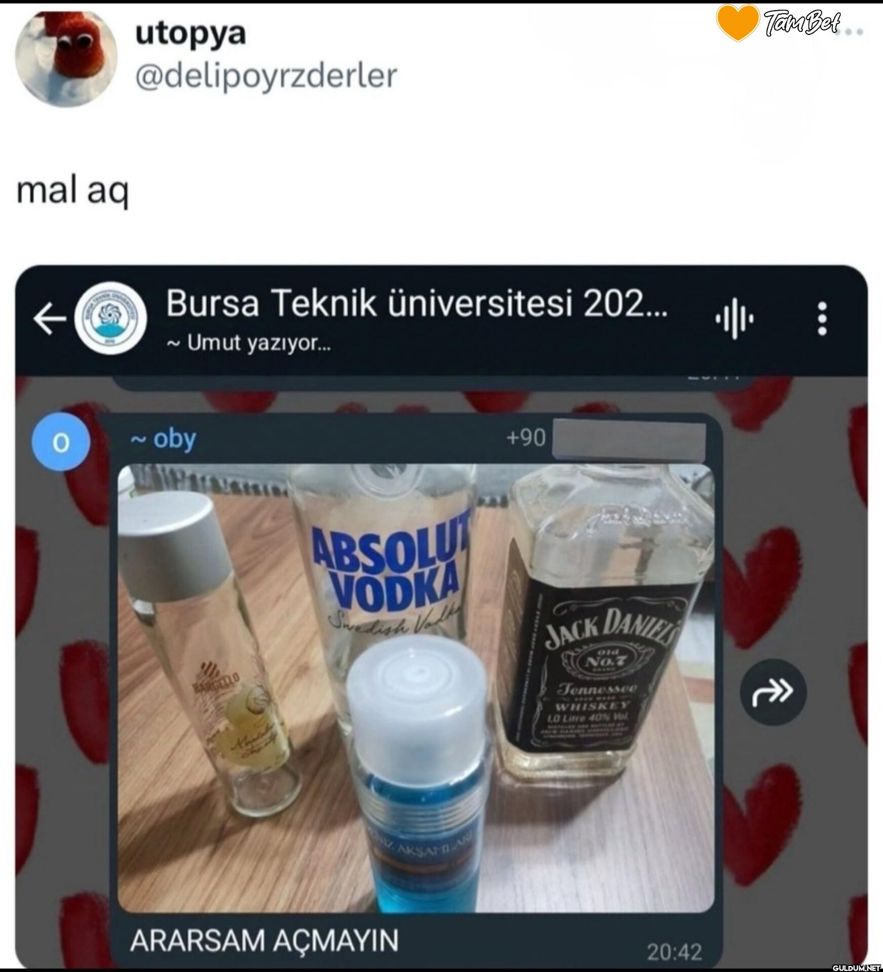 Bursa Teknik üniversitesi...